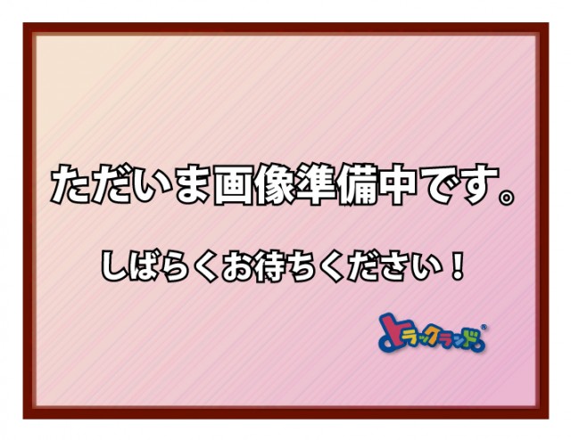 中古トラック 日野ダンプ #2