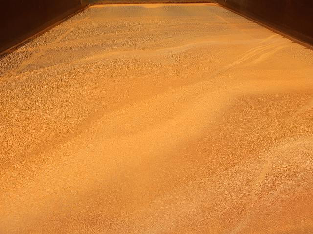 中古トラック いすゞダンプ ＃8