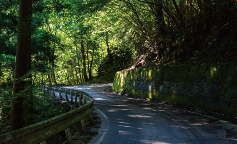 日本三大酷道とは？場所・詳細や走行時の注意点を解説